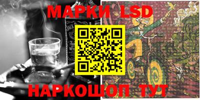 шишки Братск