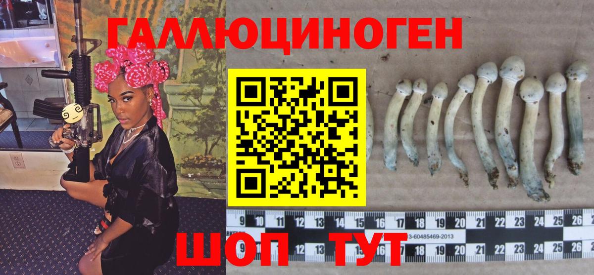 Псилоцибиновые грибы мицелий  Вход с VPN  Воронеж 